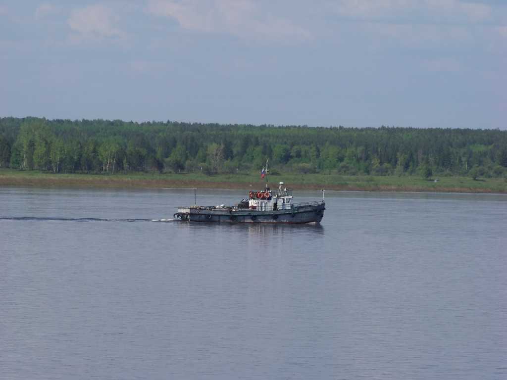 100_6042.JPG